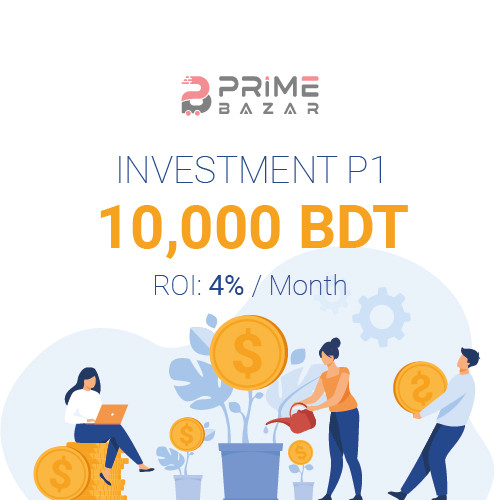 Investment 10000 BDT P1