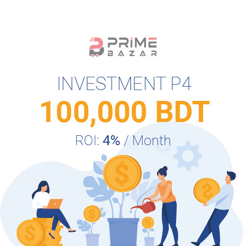 Investment 100000 BDT P4