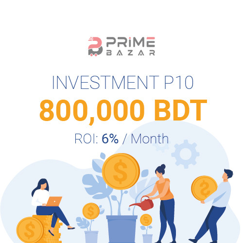 Investment 800000 BDT P10